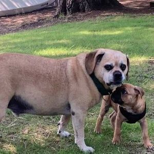 Meet your Posher, Rita